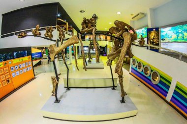 phu-Wiang, dinozor Khonkaen thailand