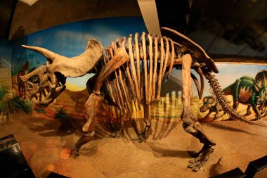 Phu Kum Khao, Kalasin, # Tayland 