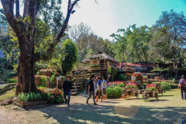 Doi Tung, Chiang Rai, # Tayland