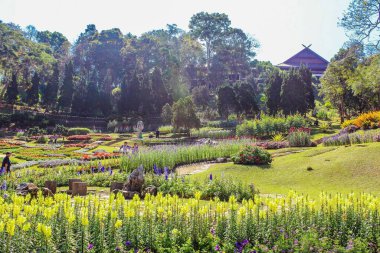 Doi Tung, Chiang Rai, # Tayland