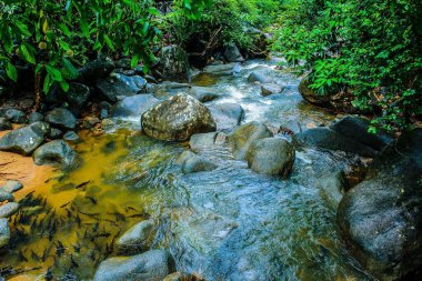 Phlio Şelalesi, Chanthaburi, Tayland