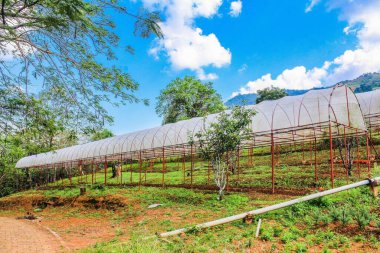 Doi Pha Mon, Chiang Rai # thailand # seyahat