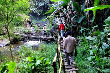 Pha Dok Xu şelalesi, Mae Klang Luang köyü, Doi Inthanon Ulusal Parkı, Chiang Mai bölgesi, Tayland