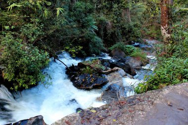 Pha Dok Xu şelalesi, Mae Klang Luang köyü, Doi Inthanon Ulusal Parkı, Chiang Mai bölgesi, Tayland