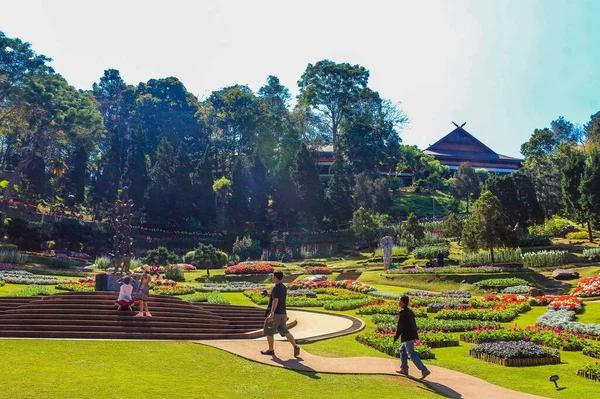 Doi Tung, Chiang Rai, # Tayland