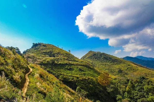 Cima Della Montagna Provincia Chiang Rai Thailandia — Foto Stock