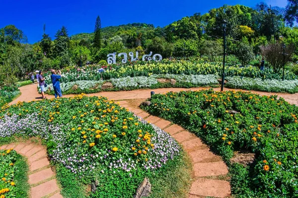 Doi Ang Khang Chiang Mai Tajlandia Podróże — Zdjęcie stockowe