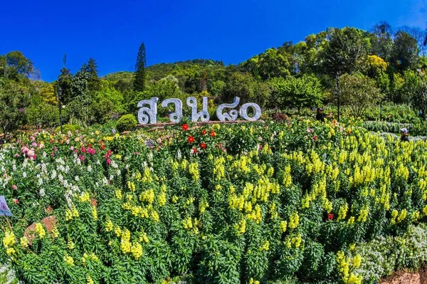 Doi Ang Khang Chiang Mai Tajlandia Podróże — Zdjęcie stockowe