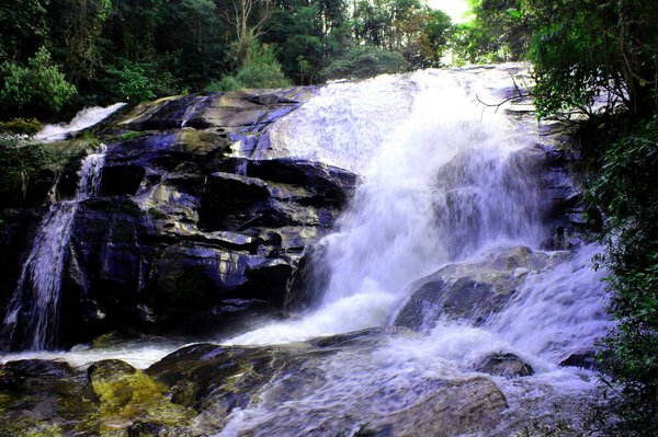 Pha Dok Xu waterfall , Mae Klang Luang village, Doi Inthanon National park, Chiang Mai province, Thailand