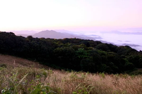 Parco Nazionale Kew Mae Pan Doi Inthanon Chiang Mai Thailandia — Foto Stock