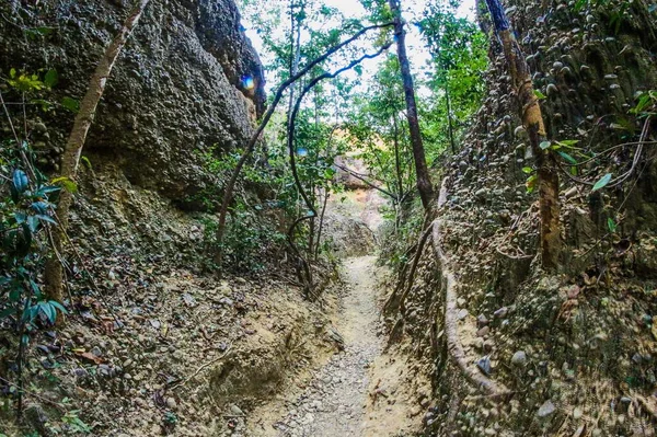 Pha Chor Cliff Stone Okrese Doi Chiang Mai Thajsku — Stock fotografie