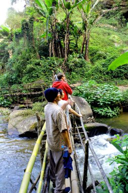 Bahçe ormanındaki patika