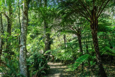 Bir bahçe bahçesi tarzı.