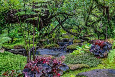 Bir bahçe bahçesi tarzı.