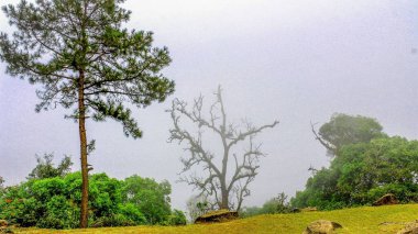 Kewfin Dağı Lampang, Tayland