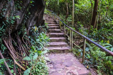 Huai Luang Şelalesi veya Bak Teo Şelalesi Phu Chong Na Yoi Ulusal Parkı, Ubonratchathani Tayland