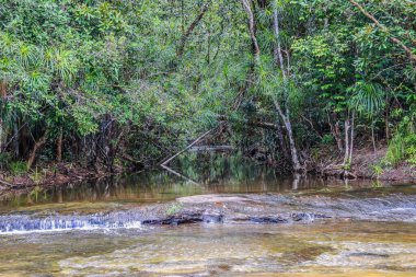 Huai Luang Şelalesi veya Bak Teo Şelalesi Phu Chong Na Yoi Ulusal Parkı, Ubonratchathani Tayland