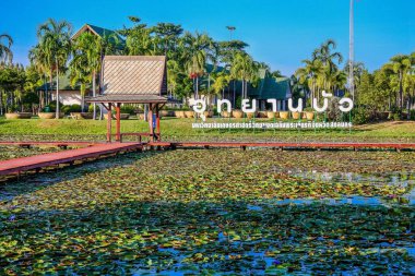 Lotus Park in Sakon Nakhon, Thailand clipart