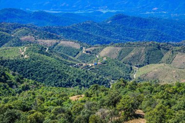  Doi Pui ko, Tayland 'da Mae Hong Son' a bakmalı..