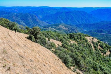  Doi Pui ko, Tayland 'da Mae Hong Son' a bakmalı..
