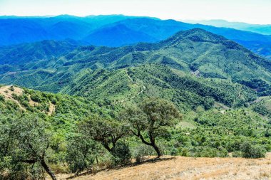  Doi Pui ko, Tayland 'da Mae Hong Son' a bakmalı..