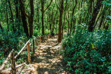  Doi Pui ko, Tayland 'da Mae Hong Son' a bakmalı..