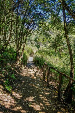  Doi Pui ko, Tayland 'da Mae Hong Son' a bakmalı..