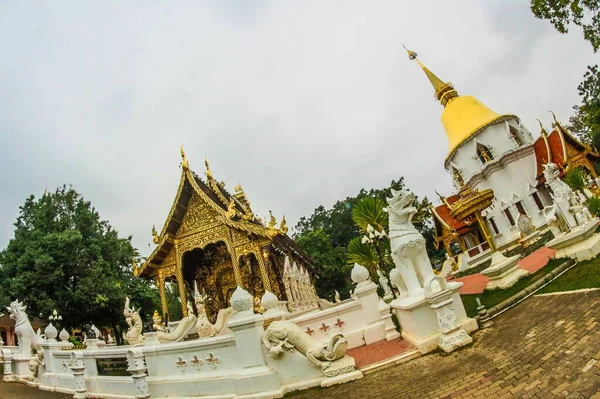 Wat Chiangmai Thaïlande — Photo