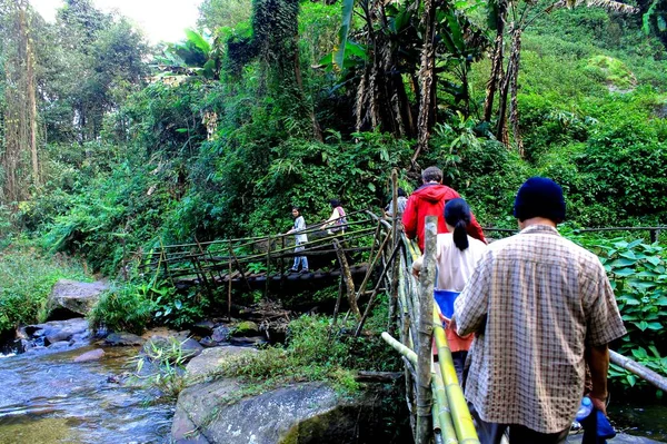 Bahçe ormanındaki patika