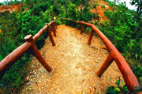 Sentier Pédestre Dans Jungle Jardin — Photo