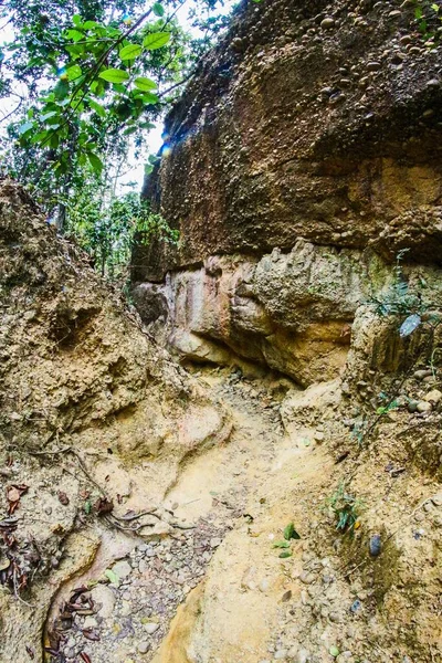 Kamień Klifowy Pha Chor Dzielnicy Doi Chiang Mai Tajlandii — Zdjęcie stockowe
