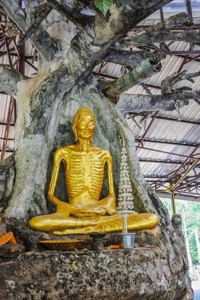 Templo Wat Província Nakhonphanom Tailândia — Fotografia de Stock