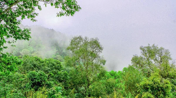 Kewfin Mountain Lampang Thailandia — Foto Stock