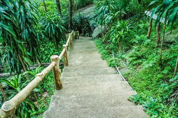 peyzaj yolu yeşil park