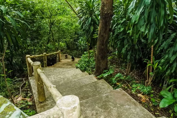 peyzaj yolu yeşil park