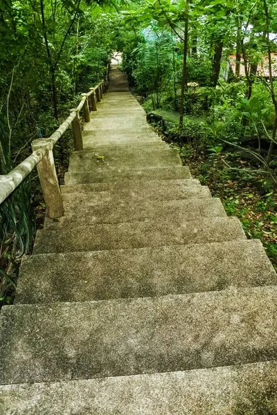 peyzaj yolu yeşil park