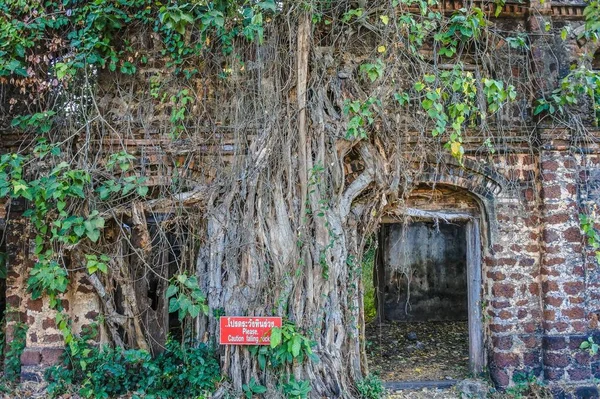 Old House Ban Tharae Sakon Nakhon Thaïlande — Photo