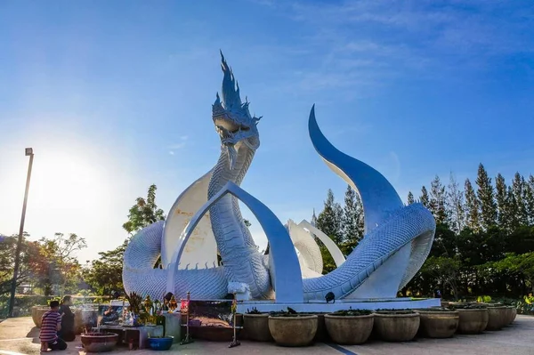 Lotus Park Sakon Nakhon Thailand — Stock Photo, Image
