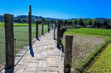Bambu köprüsü. Sutongpe Köprüsü. En uzun tahta köprü, Mae Hong Son, Tayland