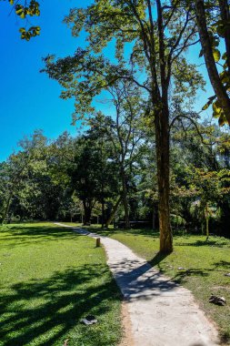 Tham Pla Balık Mağarası, Mae Hong Oğlu, Tayland