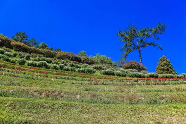 Huay Nam Dang Ulusal Parkı, Chiangmai, Tayland