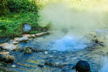 Pong Dueat kaplıcası Huai Nam Dang Ulusal Parkı, Chiangmai, Tayland