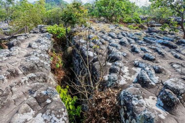 Seyahat Phu Hin Rong Kla Ulusal Parkı, Phitsanulok, Tayland