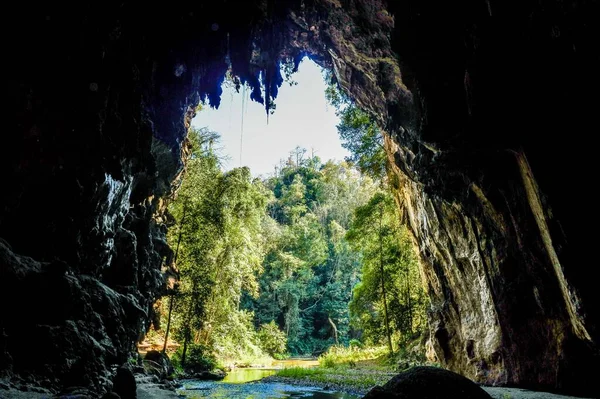 Cueva Más Increíble Tham Lod Cueva Maehongson Tailandia —  Fotos de Stock