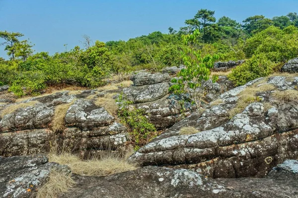 Trip Phu Hin Rong Kla National Park Phitsanulok Thailand — Stock Photo, Image