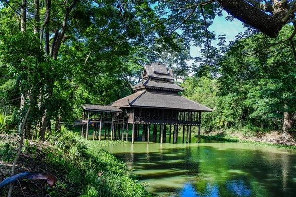 Trai Wat Trai Nurak Yasothon Tailândia — Fotografia de Stock