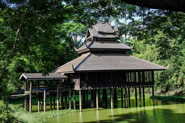 Trai Wat Trai Nurak Yasothon Thailand — Stockfoto