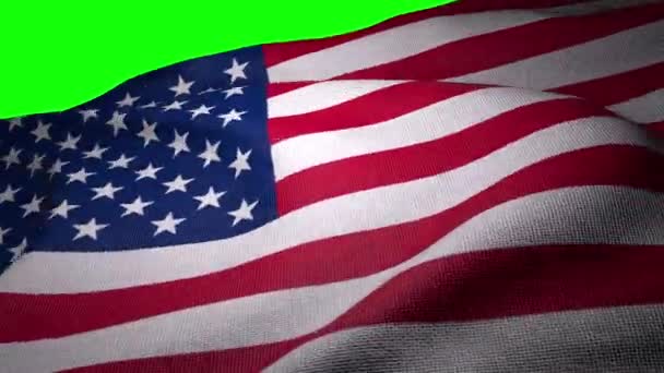 Usa Bandiera Loop Video — Video Stock