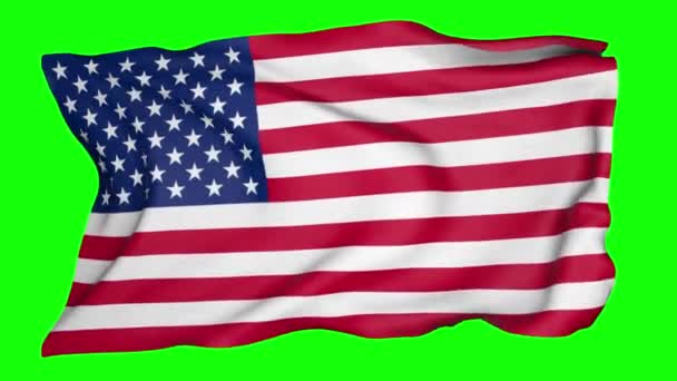 Usa Zászló Hurok Videó — Stock videók