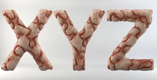 3D obrázek mozku abecedy — Stock fotografie